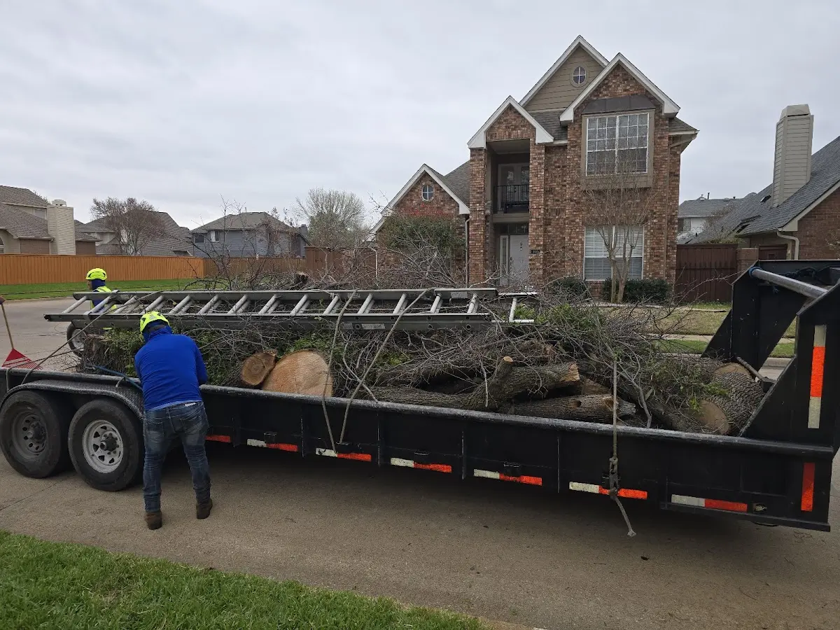 Expert Crown Reduction with proper safety equipment in Boydton